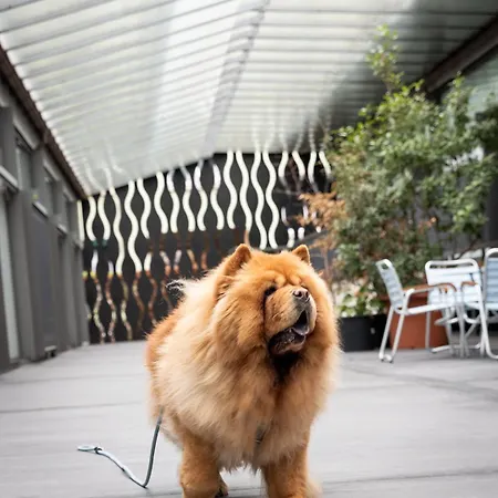 Ξενοδοχείο Greulich Design & Boutique 3*