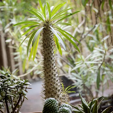 Greulich Design & Boutique Zürih