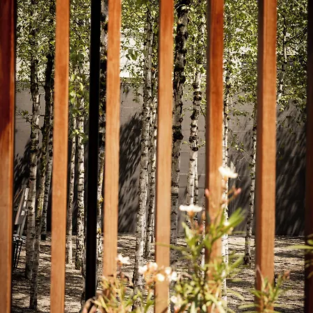 Hotel Greulich Design & Boutique Zurigo