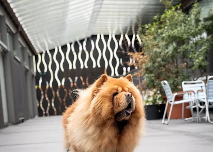 Otel Greulich Design & Boutique 3*