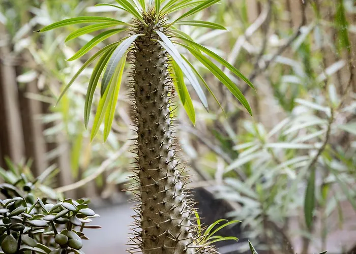 Greulich Design & Boutique Zürih