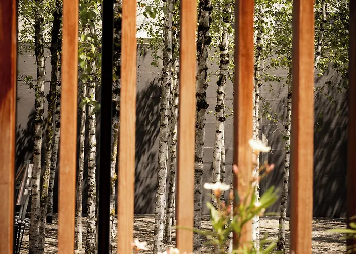 Szálloda Greulich Design & Boutique Zürich